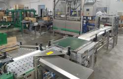 Celda de encajonado con robot Delta