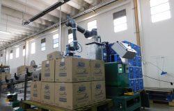 Brazos colaborativos: solución compacta para paletizado de fin de línea